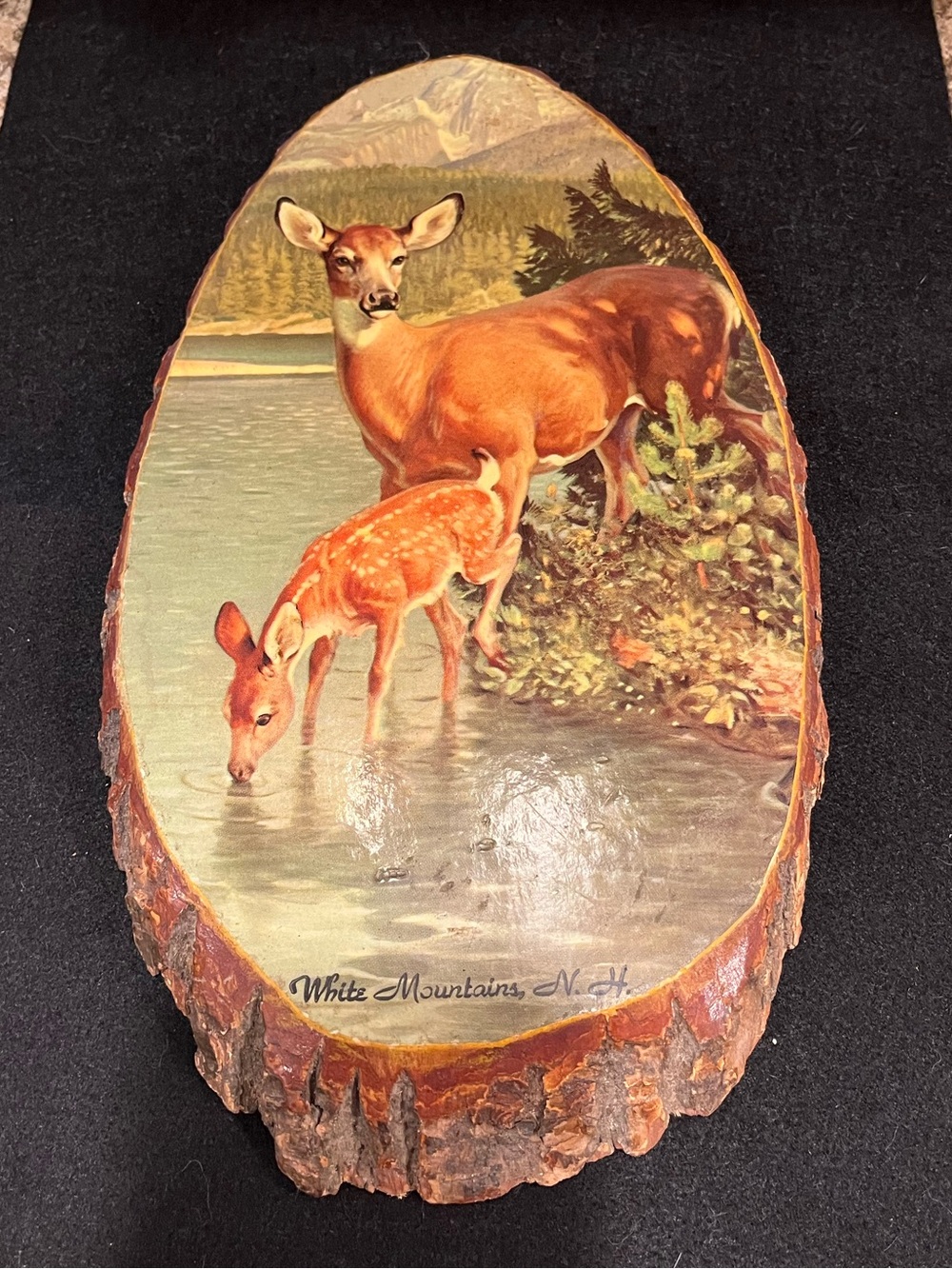 Wildlife Deer Vintage Wooden Live Edge Souvenir Wall Hanging Plaque Sign